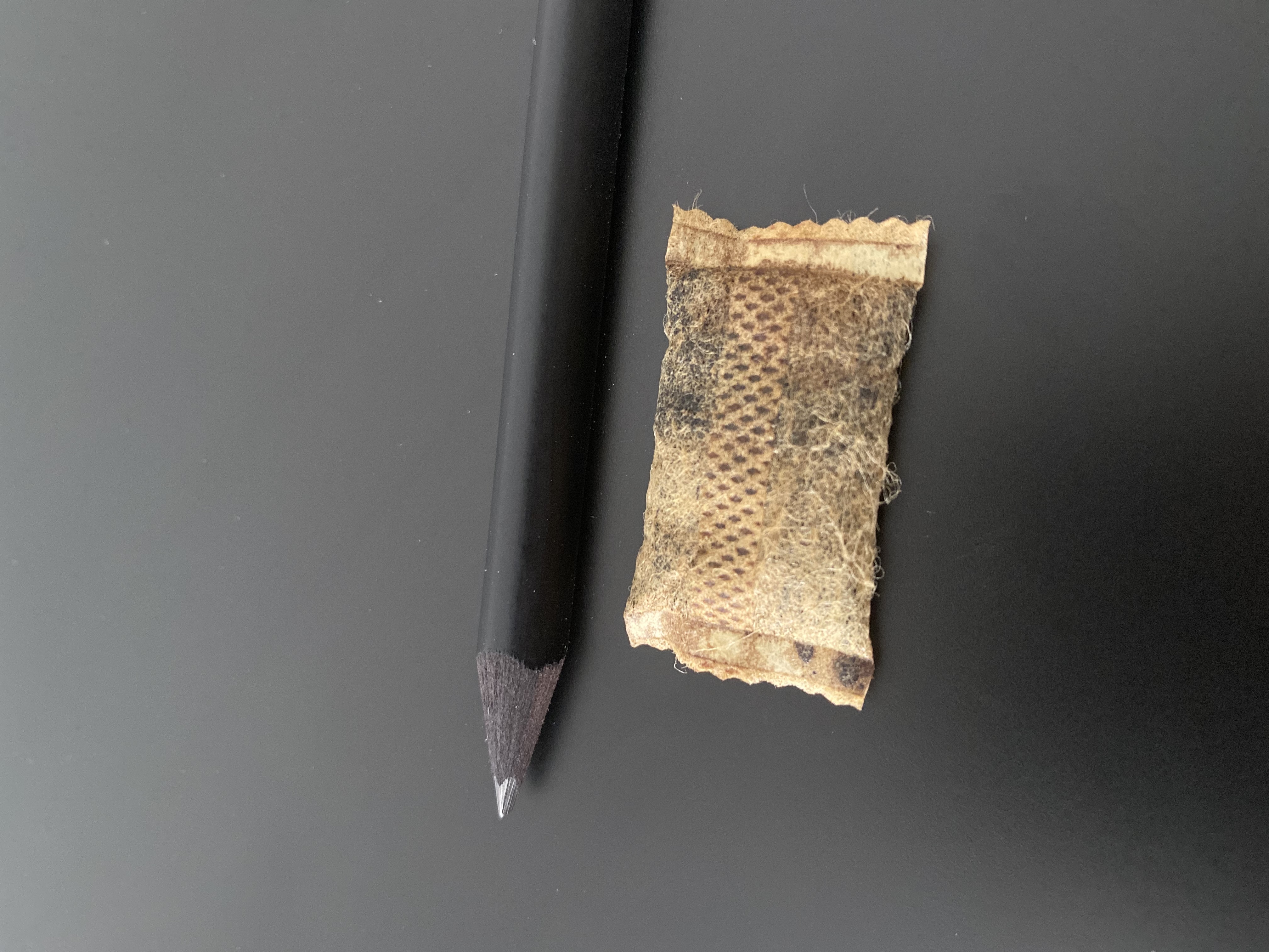 Žvýkací tabák Regular - Siberia Brown